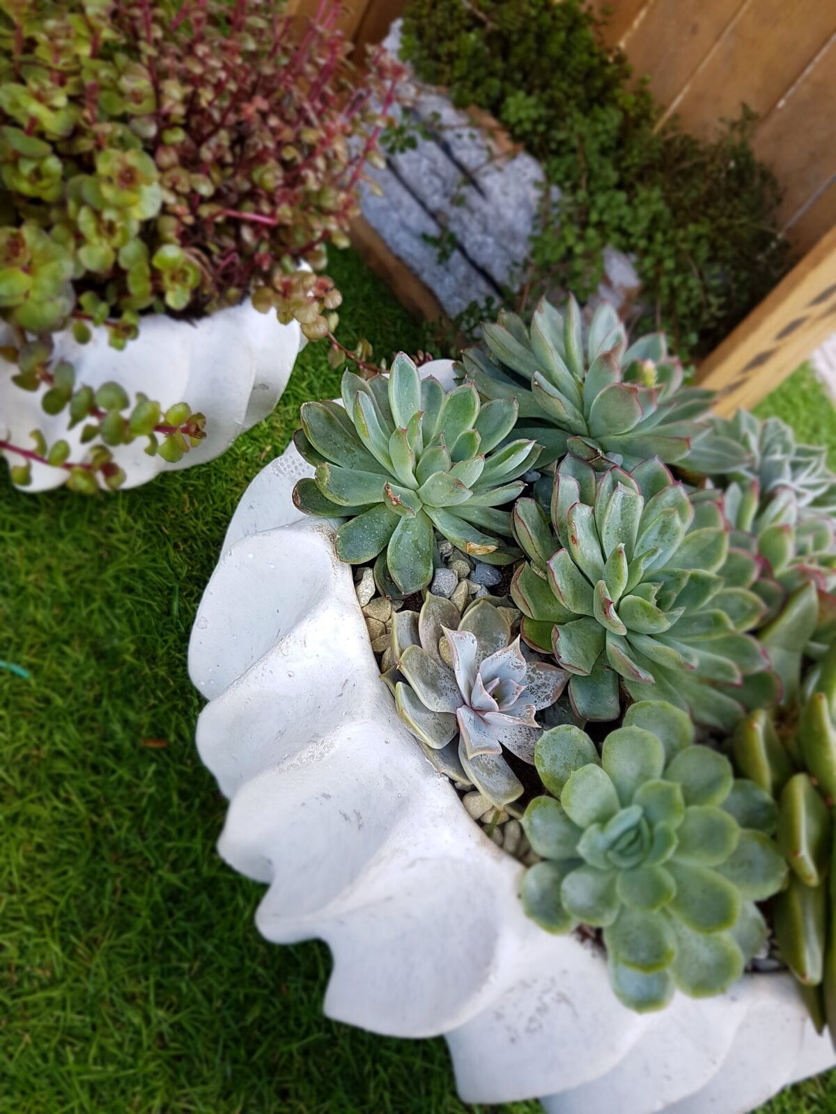 Floral Arrangements