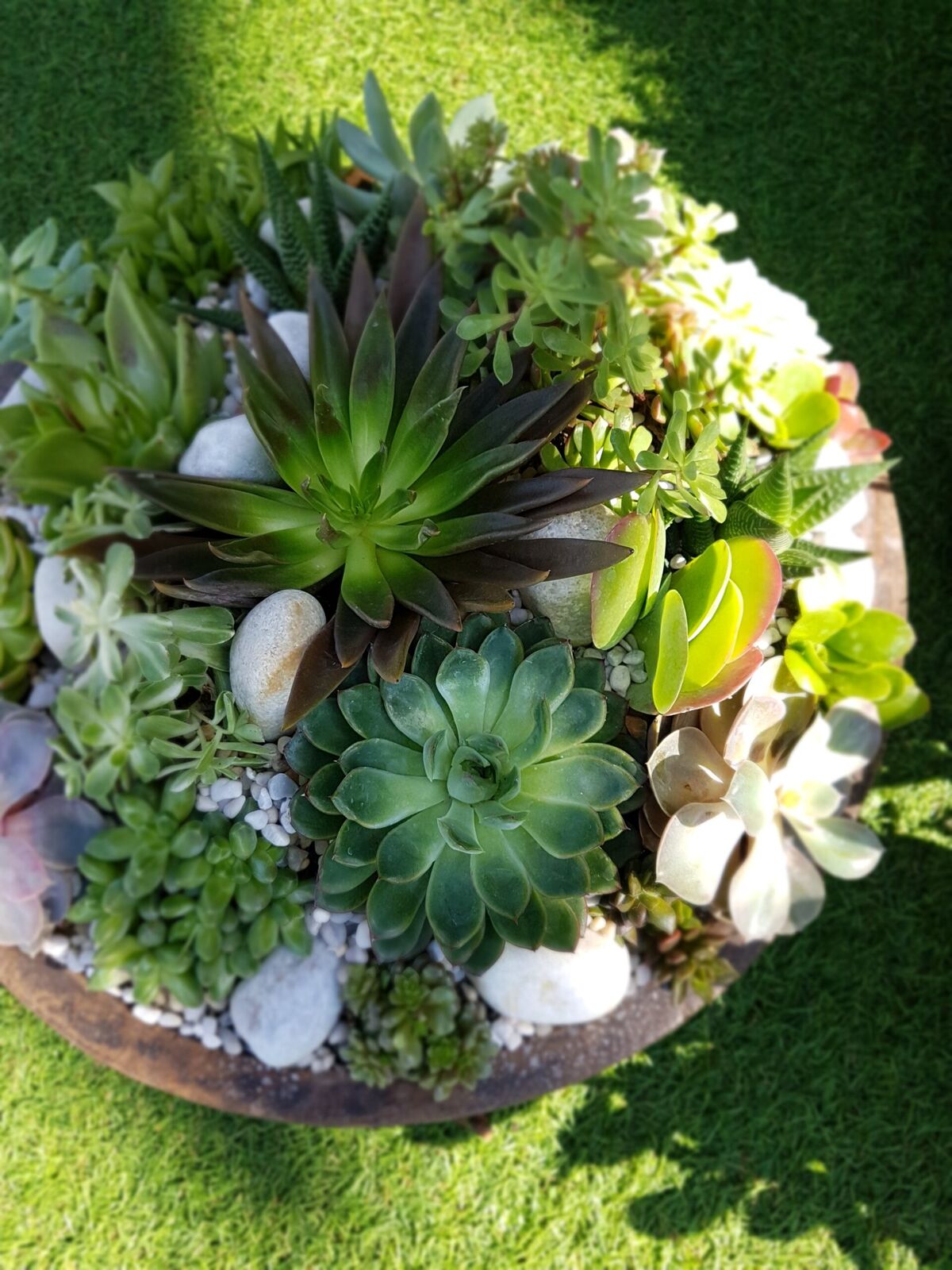 Floral Arrangements