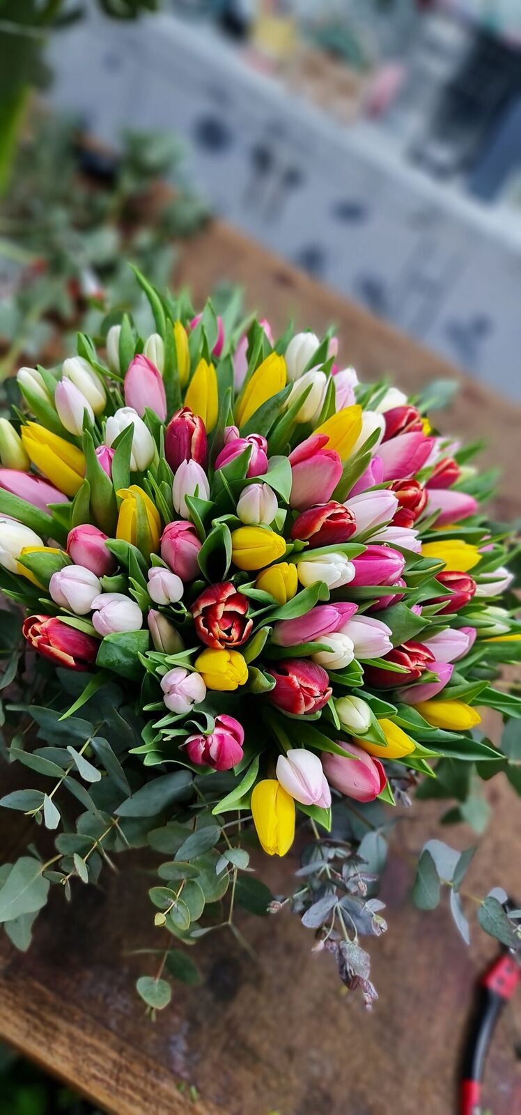 Spring